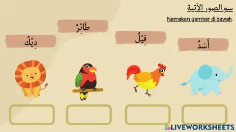 رفقا بالحيوانات