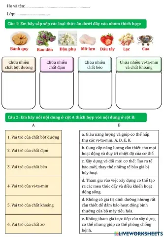 Bài tập khoa học lớp 4 tuần 3