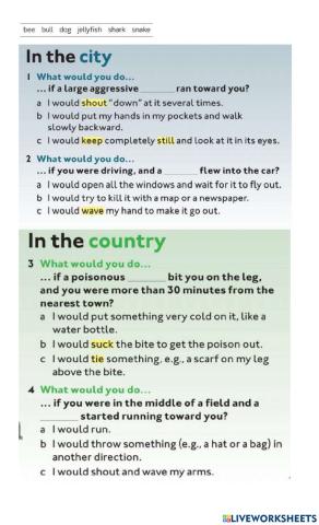 Level3 Second conditional