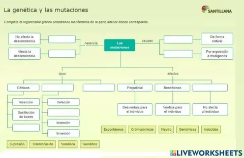 Genética y Mutación