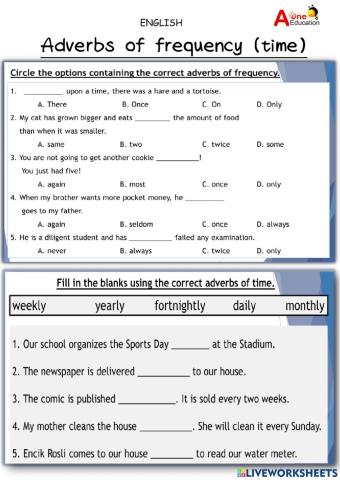 Adverbs of frequency