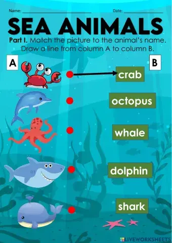 Sea animals (Kindergarten)