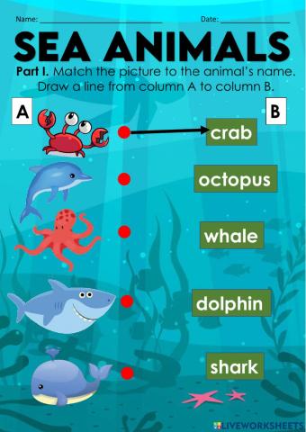 Sea animals (Kindergarten)