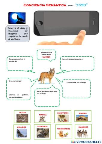 Conciencia Semántica palabra LOBO