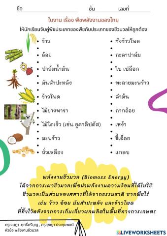 พลังงานชีวมวล