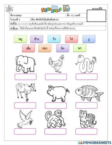 ชนิดของสัตว์