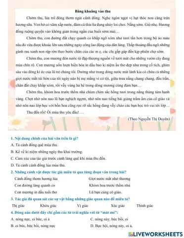 Luyện tập tổng hợp tuần 5