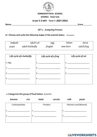 Final Test Science3 set 2