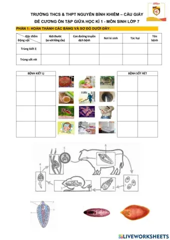 Ôn tập giữa học kì 1