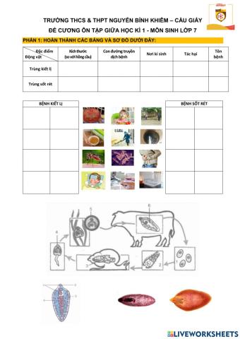Ôn tập giữa học kì 1