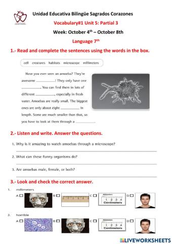 Language 7th Unit 5: Vocabulary 1
