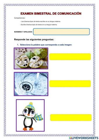 Examen de Comunicación