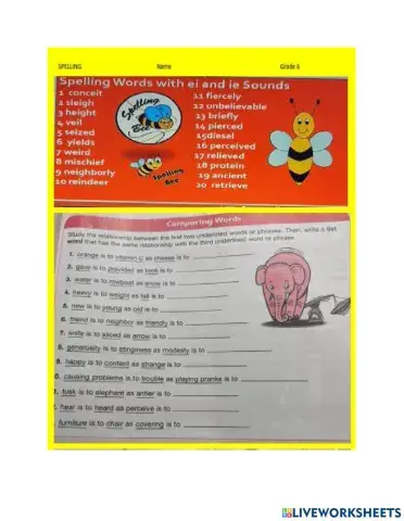 Spelling ei and ie words