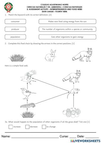 Interdependence and food webs
