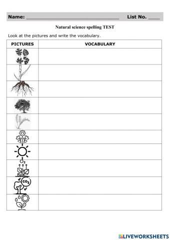 Plants Spelling