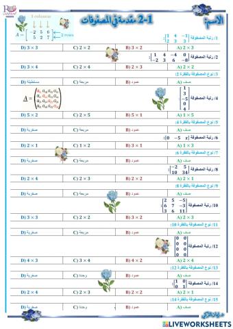 مقدمة في المصفوفات