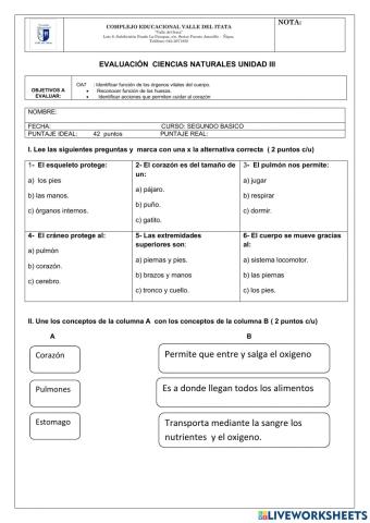 Evaluacion ciencias unidad 3