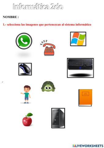 Sistema informatico