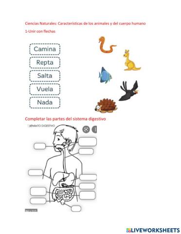 Ciencias naturales: 1° grado