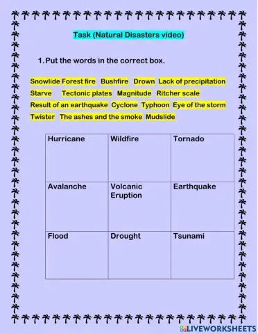 Video ¨Natural Disasters¨