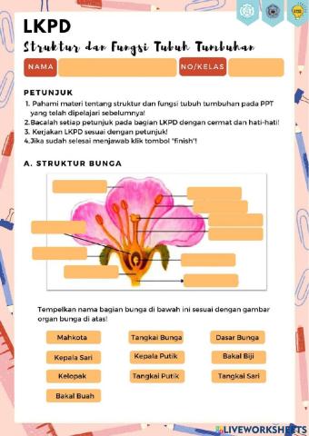 Struktur dan Fungsi Tubuh Tumbuhan