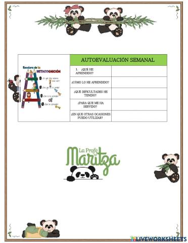 Escalera de metacognicion