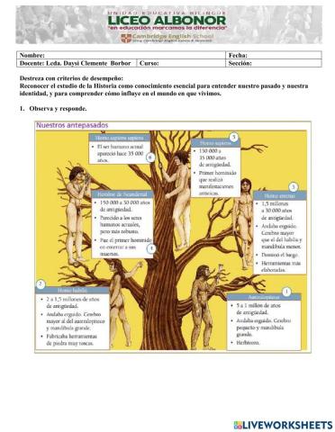 ORIGEN DE LA HUMANIDAD 