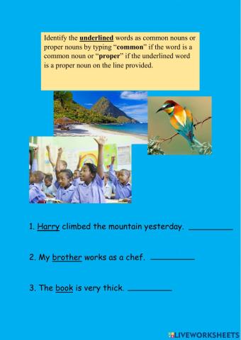 Identifying Common and Proper Nouns