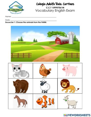 Vocabulary English Exam