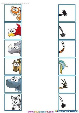 Tìm đuôi cho các con vật.