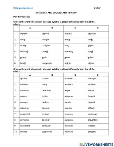 G8 Grammar and Vocab review 1