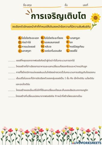 การเจริญเติบโต 6-6