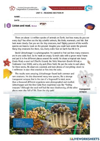 Life is Everything Reading