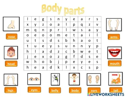Body parts