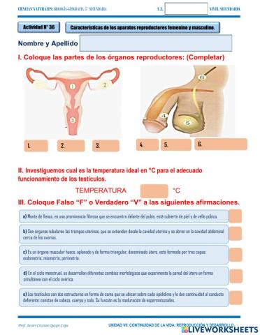 36. caracteristicas de los aparatos reproductores