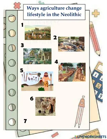 Agriculture in the Neolithic