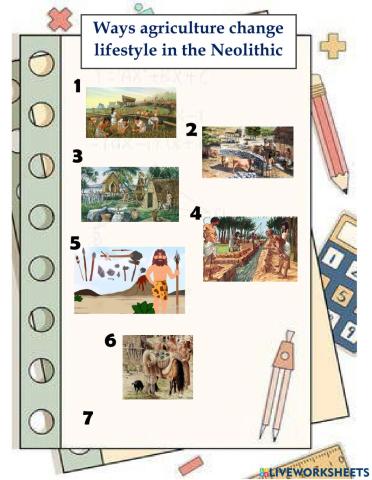 Agriculture in the Neolithic