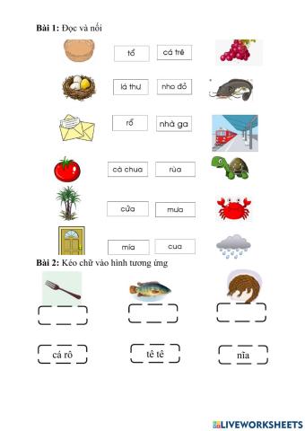 Ôn tập lớp 1 tuần 7