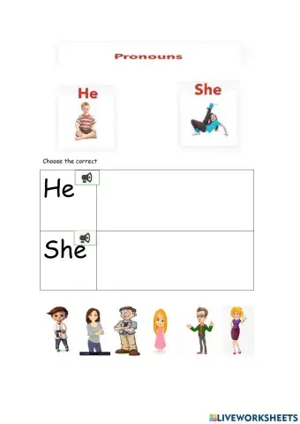 Pronouns
