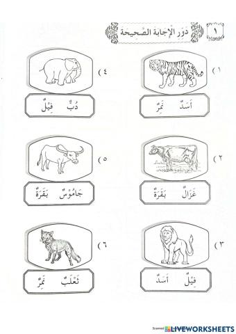 Bahasa arab tahun 3