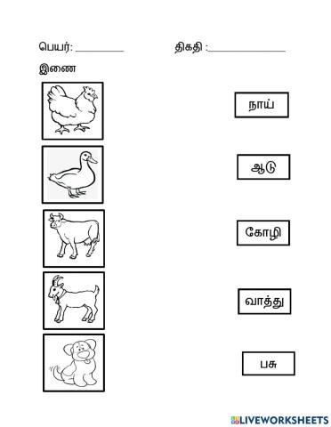 வளர்ப்பு பிராணிகள்