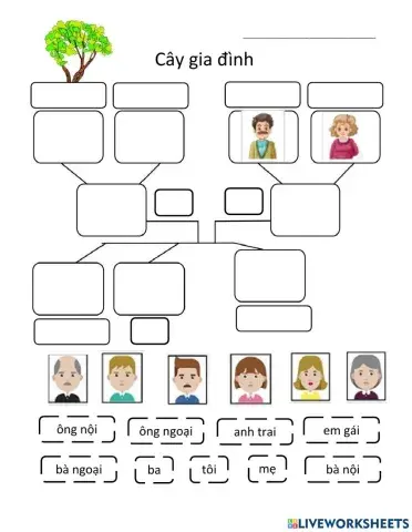 Sơ đồ gia đình
