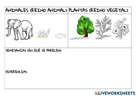 Diferencias animales y plantas