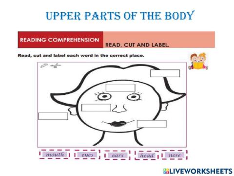 Upper body parts