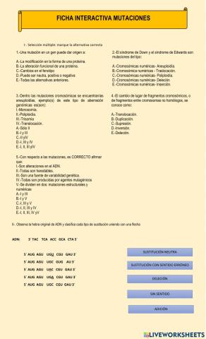 Mutaciones