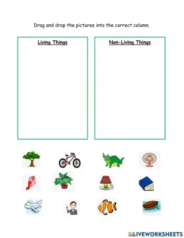 Living and Non Living Things
