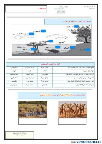العلاقات في الأنظمة البيئية-1