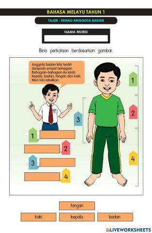 Kenali Anggota Badan