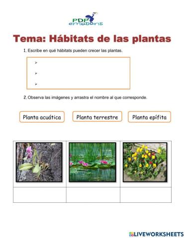 El hábitat de las plantas