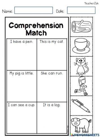 Comprehension match cvc